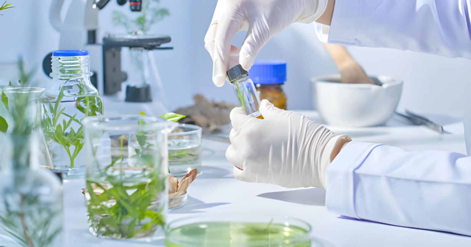 Lab Quality Assurance